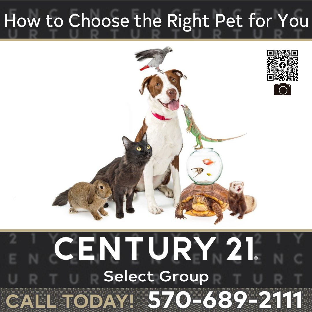 How to Choose the Right Pet for You